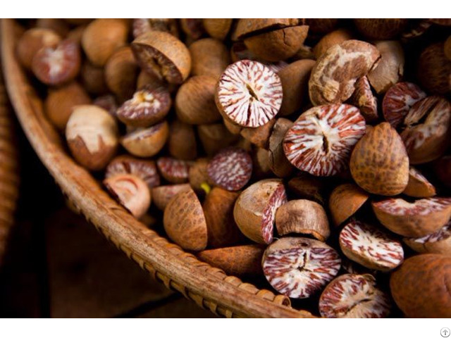 Top Quality Betel Nut From Vietnam