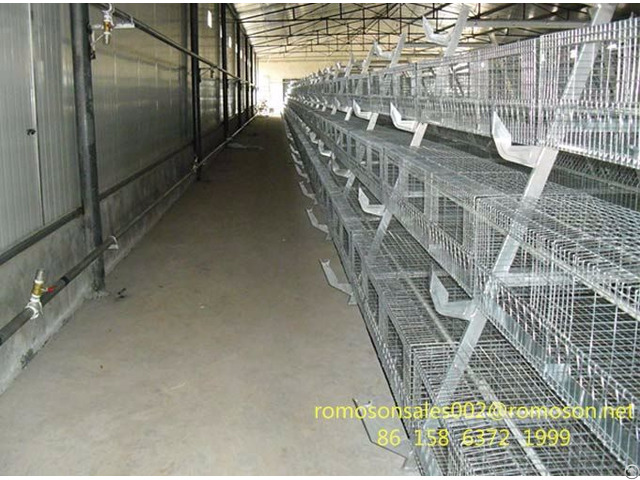 Poultry Farming System Shandong Tobetter Superior Quality