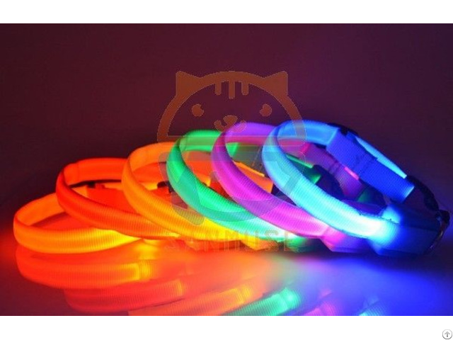 Led Pet Collar