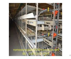Poultry Equipment Shandong Tobetter Full Range