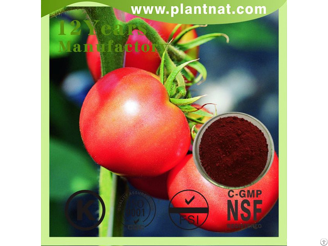 Tomato Extract Lycopersicon