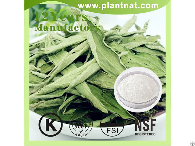 100 Percent Natural Sweetener Stevia Leaf Extract