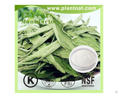 100 Percent Natural Sweetener Stevia Leaf Extract
