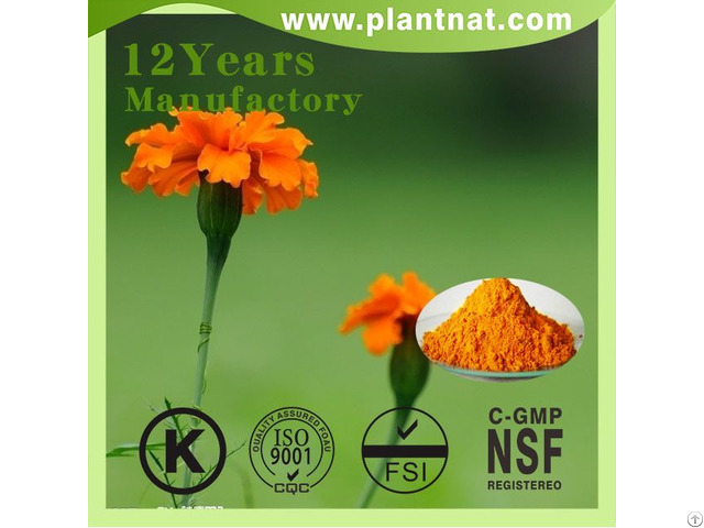 High Quality Lutein Marigold Flower Extract