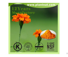 High Quality Lutein Marigold Flower Extract
