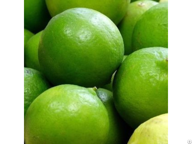 Fresh Whole Dried Sliced Lime