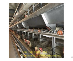 Chicken Equipment Shandong Tobetter Full Range