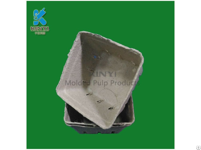 Disposable Paper Pulp Molded Fruit Packaging Box Container