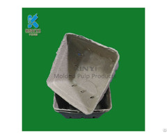 Disposable Paper Pulp Molded Fruit Packaging Box Container