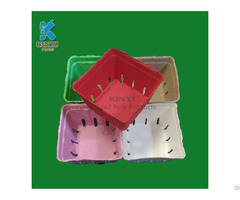 Customized Colorful Paper Pulp Molded Fruit Packaging Box Container