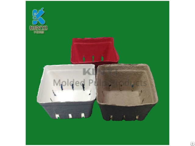 Biodegradable Mold Pulp Frozen Fruit Basket