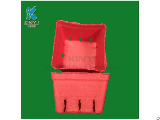 Disposable Pulp Molded Vegetable Basket