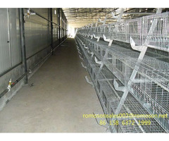 Chicken Incubator For Sale Shandong Tobetter Cheap