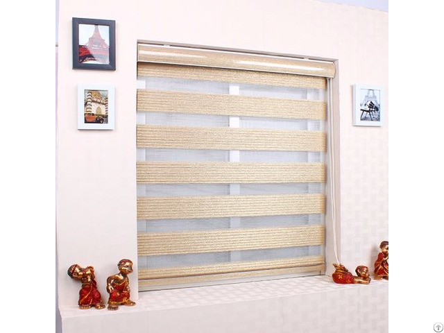 Pleated Zebra Blinds