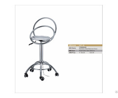 Stainless Steel Backrest Stool Gas Lifting