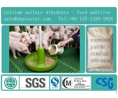 Feed Grade Dihydrate Calcium Sulfate Ap98