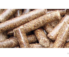 Wood Pellets High Quality With Best Price