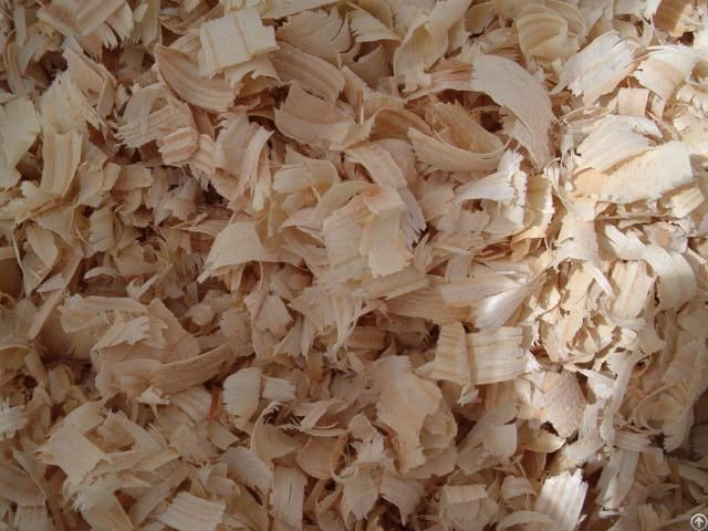 Wood Shavings Good Price