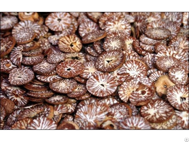 Betel Nut Supplier