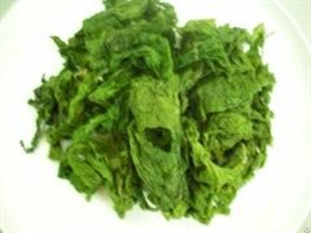 Green Seaweed Raw