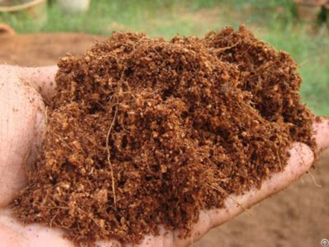 Unwashed Cocopeat