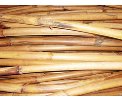 Material Craft Coconut Tree Parts Bamboo Rattan Etc