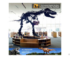 My Dino Full Size T Rex Skeleton Replica