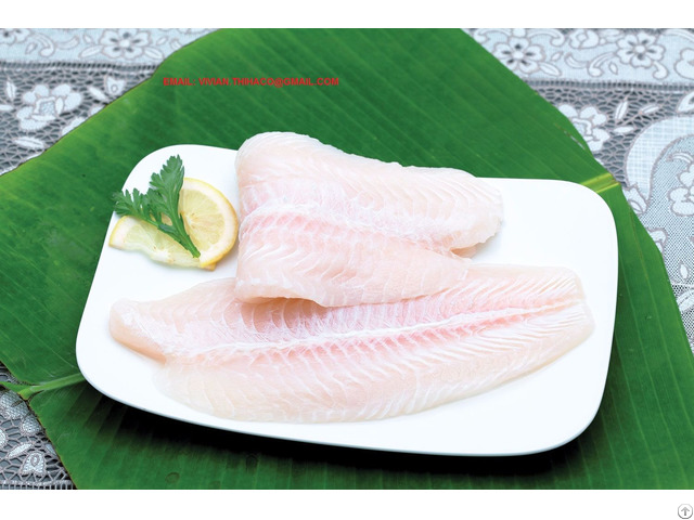 Offer Vietnam Pangasius Basa Fillet