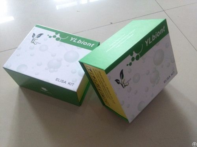 Human Lactoferrin Ltf Lf Elisa Kit