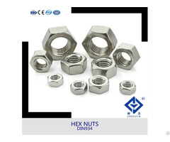 Stainless Steel Hex Nut M6 M8 M10 With All Size