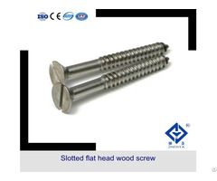 Stainless Steel Slotted Flat Head Wood Screw