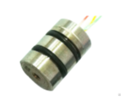 Pressure Sensor For Oil And Gas