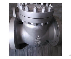 Carbon Steel Flanged Check Valves