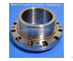 Brs075132 Non Standard Slewing Ring Bearing