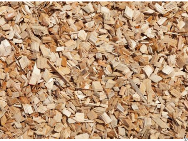 Rubber Wood Chips Vietnam For Power Plant Fuel Boiler