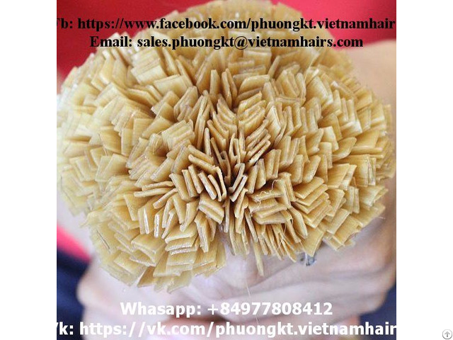 Flat Tip Blonde Best Price And Quality Straight Vietnamese Remy Hair 60cm