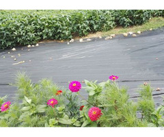 Weed Control Fabric Hot Sale For Gardening