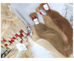 Human Hair Full Color Best Wholesale Price