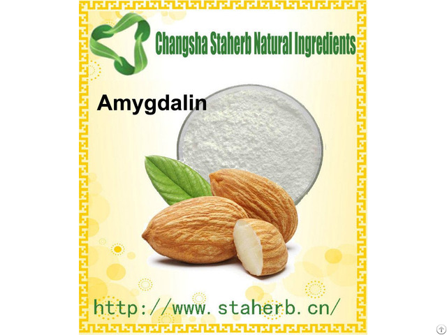 98 Percent Amygdalin Vitamin B17 Bitter Almond Extract Cas No 29883 15 6