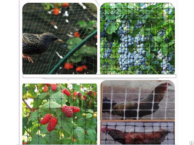 Nylon Shade Mesh Bird Netting