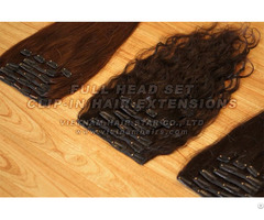 Remy Natural Hair Extension