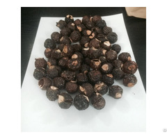 Soap Nuts Suppliers