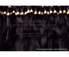 100 Percent Human Hair Wholesale