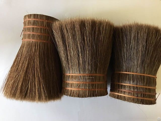 Root Horse Tail Hair