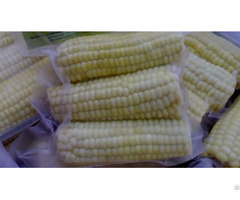 Frozen Boiled Corn