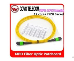 Fiber Optic Patch Cord Mpo Mtp To Om3 Om4 Lc Sm Mm