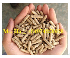 Wood Pellets 6mm From Vietnam For Power Plant