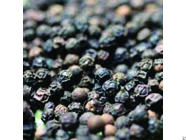 Vietnam Black Pepper