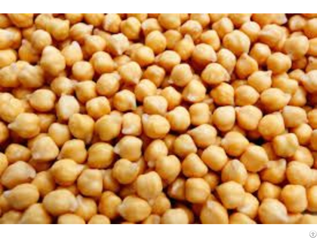 Chickpeas Kabuli Chick Peas 10mm 12mm Desi Chickpea