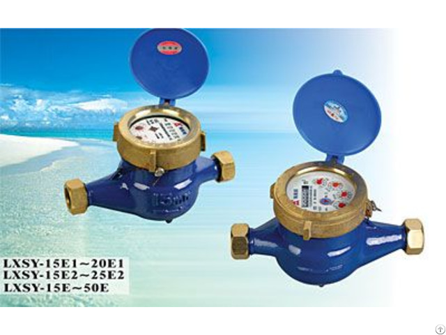 Chinese Famous Brand Amico Rotary Vane Wheel Liquid Sealed Water Meter